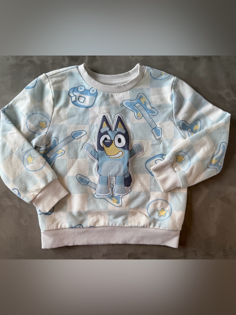Bluey Character Pullover Sweatshirt in Light Blue and White